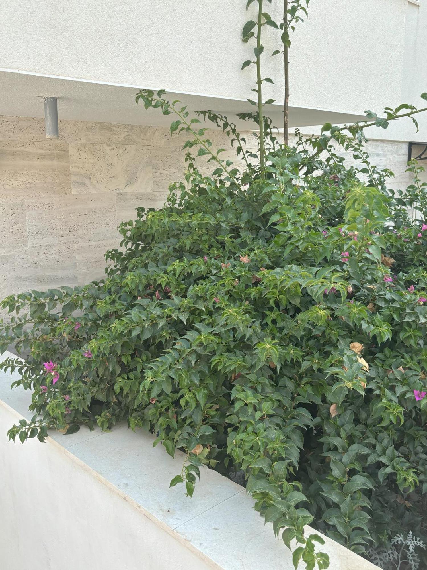 Vila Regina Apartment Rex With Swimming Pool Йезера Екстериор снимка